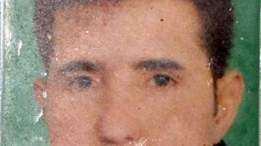 &Ccedil;am Ağacına &Ccedil;arpan Otomobildeki 2 Kişi Yaralandı