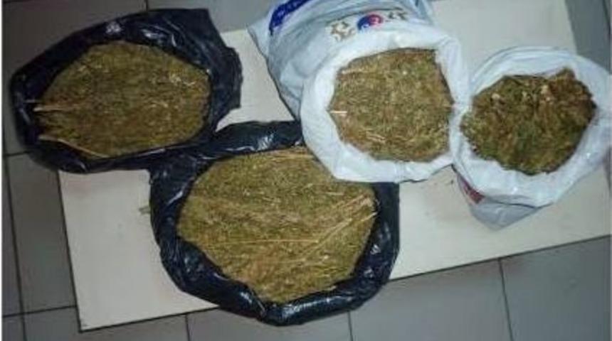 Uyuşturucudan Yakalanan Beş Kişi Tutuklandı