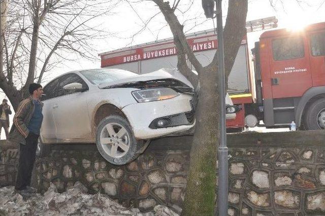 Kadın S&uuml;r&uuml;c&uuml; &Ouml;nce Duvara &Ccedil;ıktı, Sonra Ağaca &Ccedil;arptı 1