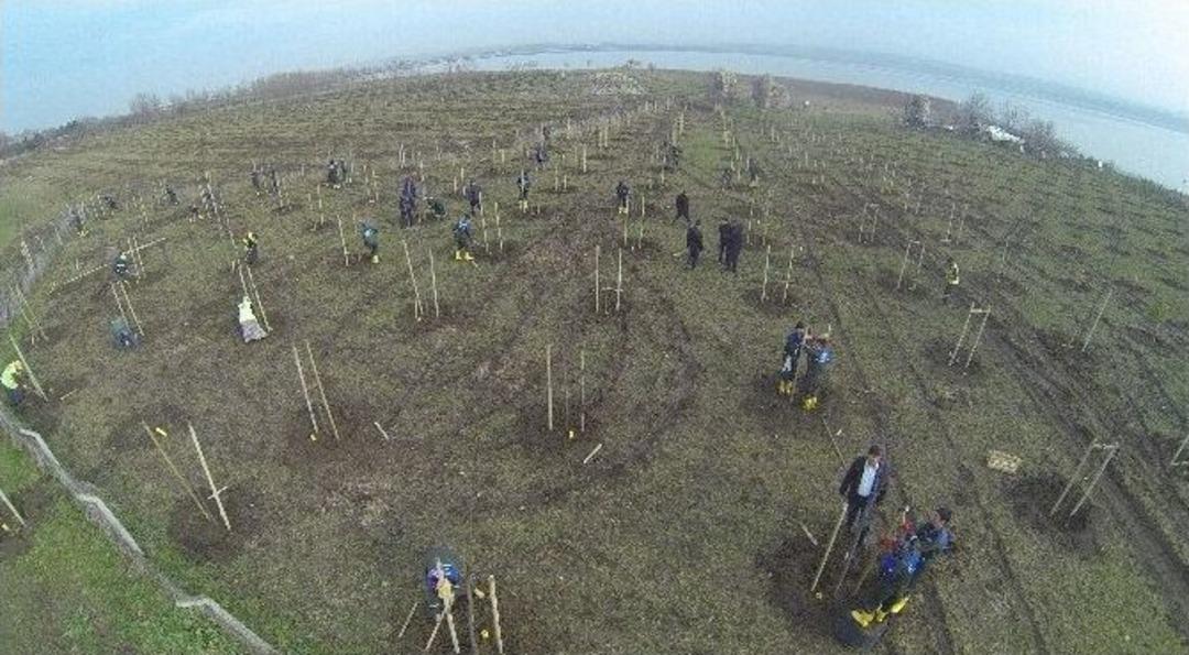 İstanbul&rsquo;a 115 Bin Yeni Ağa&ccedil;