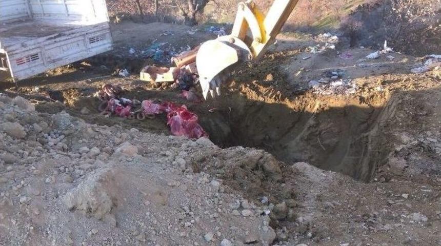 750 Kilo Et İmha Edildi