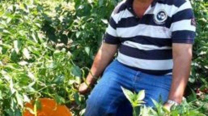 &Ouml;n Koltukta Duran T&uuml;fek Ateş Aldı, S&uuml;r&uuml;c&uuml; &Ouml;ld&uuml;