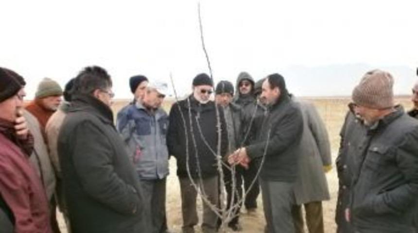 Karaman&rsquo;da Meyve Yetiştiricilerine Budama Kursu Verildi