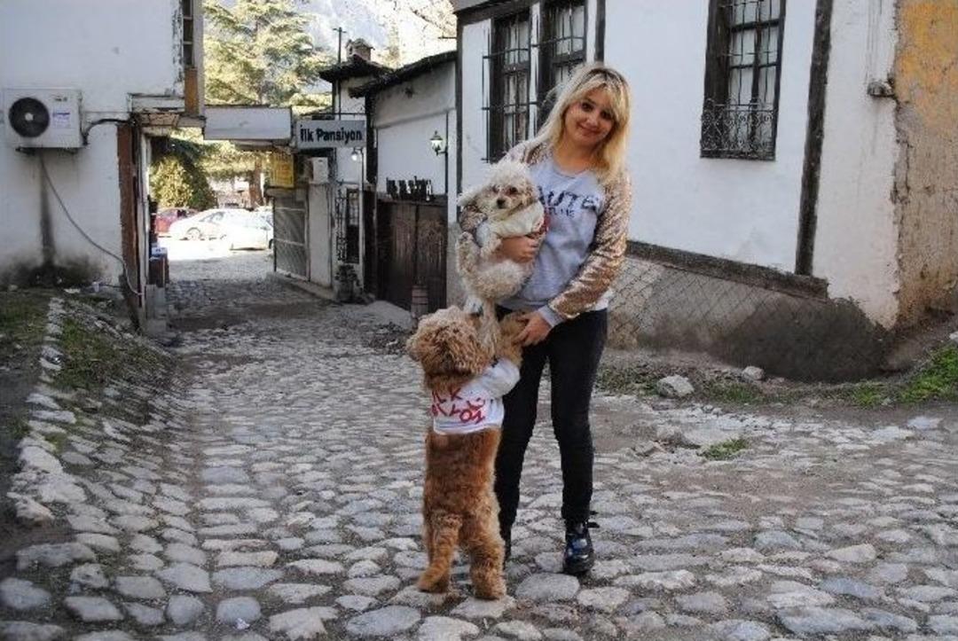 Kayıp K&ouml;peği Bulan Tatil Kazanacak
