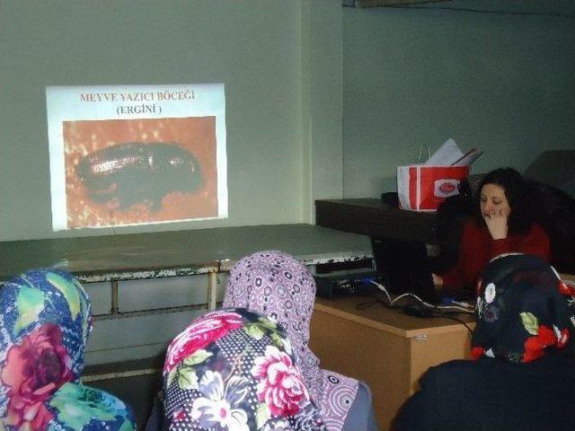 Bilecik’in Köylerinde Bayanlara Yönelik Tarımsal Eğitimler Devam Ediyor 1