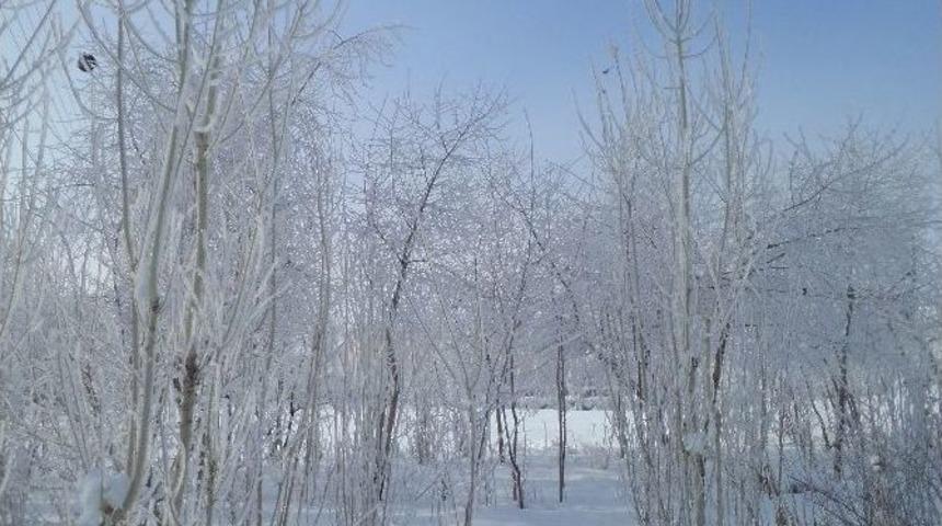 Varto&rsquo;da Sibirya Soğukları