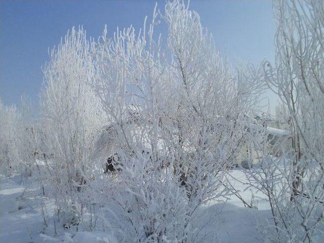 Varto’da Sibirya Soğukları