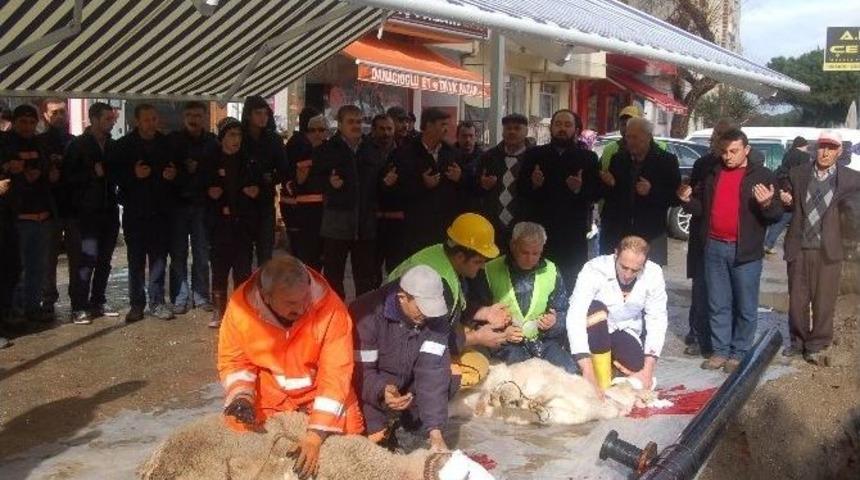 Lapsekide Alt Yapı &Ccedil;alışmaları