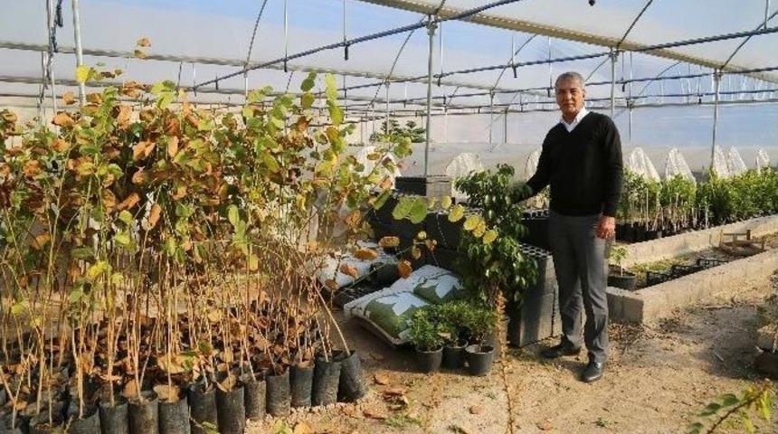 Mezitli Belediyesi’nin Yeni Fidanlığı Faaliyete Geçti