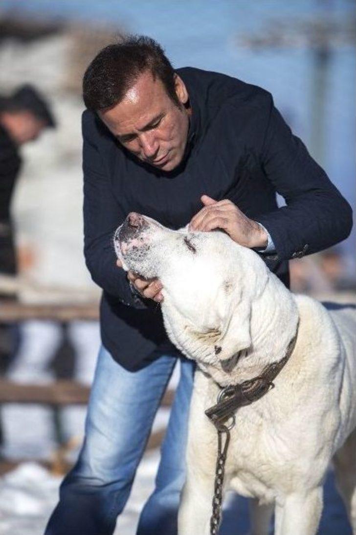 Başkan Genç, Akdağ’da Kuşlara Yem Bıraktı G5