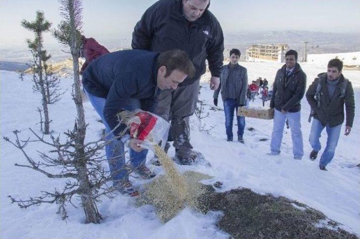 Başkan Genç, Akdağ’da Kuşlara Yem Bıraktı G2
