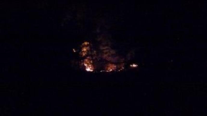 Hatay&rsquo;daki Yangında 3 Dekar Orman Zarar G&ouml;rd&uuml;