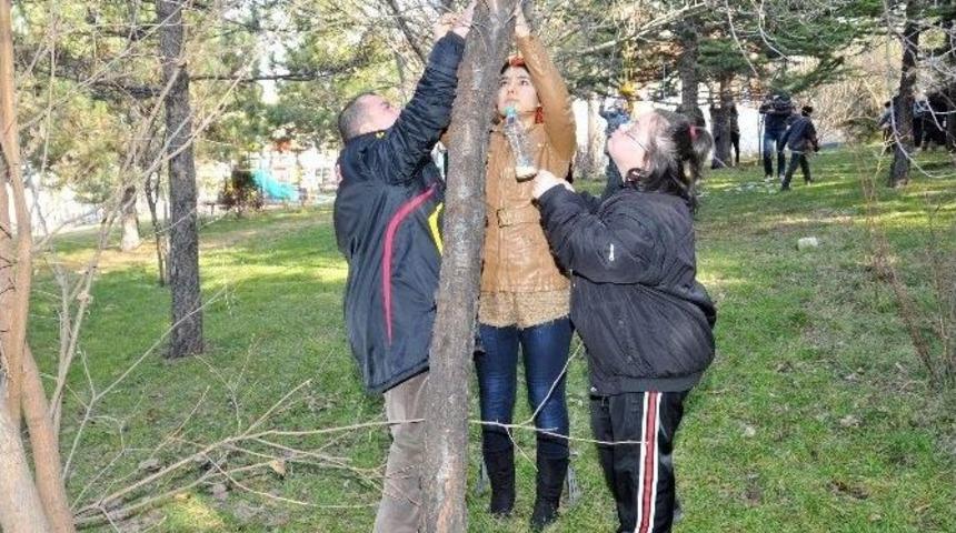 Ke&ccedil;i&ouml;renli G&ouml;n&uuml;ll&uuml;ler Ve &Ccedil;evre &Ccedil;i&ccedil;ekleri Kuşlara Yemlik Yaptı