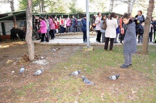 Keçiörenli Gönüllüler Ve Çevre Çiçekleri Kuşlara Yemlik Yaptı