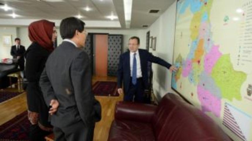 K&ouml;rfez Zeytinyağına Tayland&rsquo;tan Talep Var