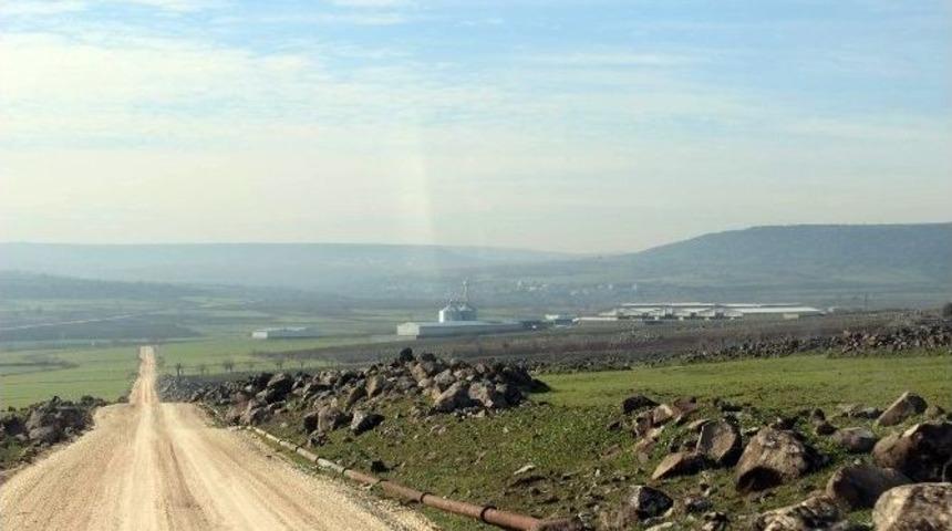 Deredeki Balıklar &Ouml;l&uuml;yor