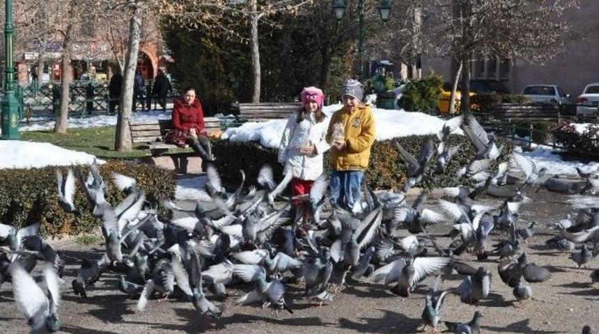 Eskişehirliler G&uuml;neşli Havanın Tadını &Ccedil;ıkarttı