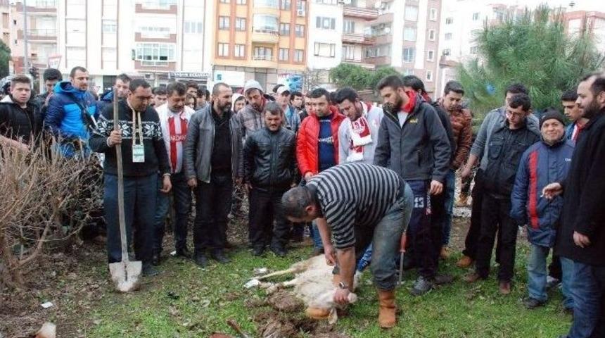 Taraftarlardan Tadilatı Tamamlanan Stada Kurban