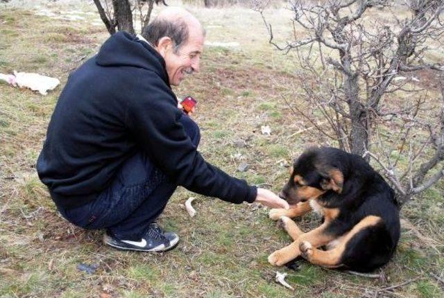 Hayvan Severler, Aç Kalan Sokak Hayvanlarını Besledi