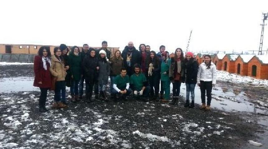 Sokak Hayvanlarına Barınak I&ccedil;in Imza Kampanyası