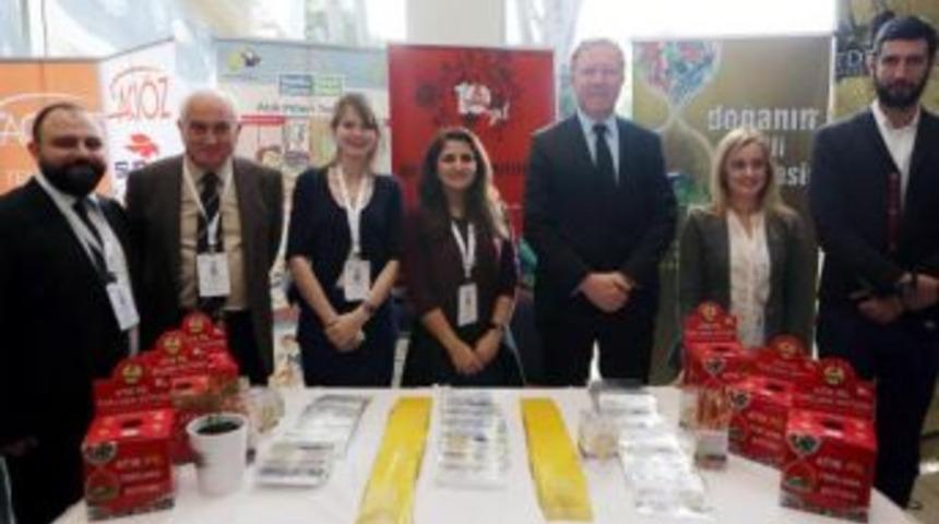 Ge&ccedil;en Yıl 555 Ton Atık Pil Toplandı