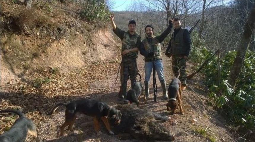 A&ccedil; Kalan Domuzlar K&ouml;ylere İndi