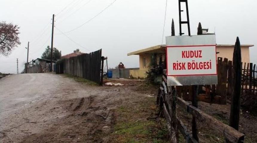 Lapseki'de Bir K&ouml;yde Kuduz Karantinası