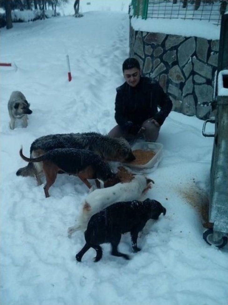Tavşanlılı Belediyesi’nde 2015 Projeleri G1