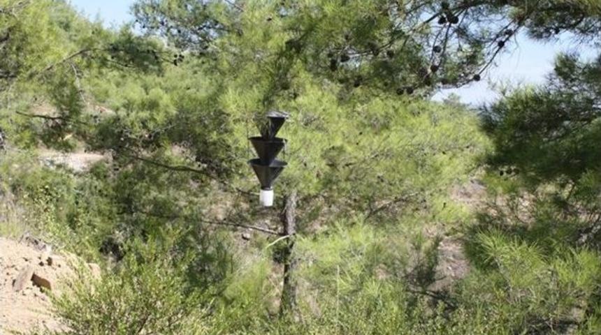 Avcı B&ouml;cekler Ormanları Koruyor