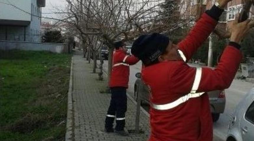 Karesi&rsquo;de Temizlik Seferberliği