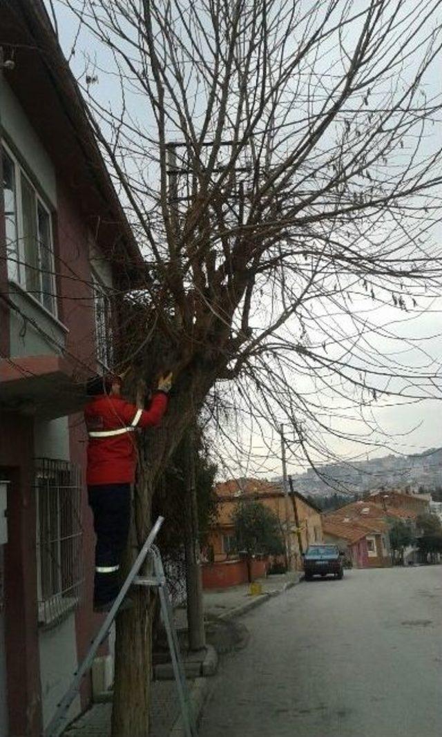 Karesi’de Temizlik Seferberliği