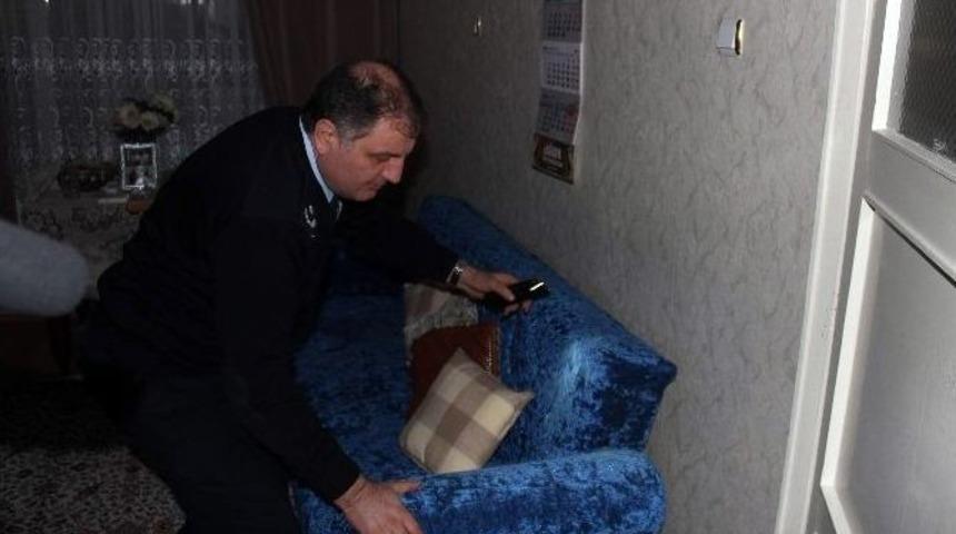 Hırsızın Arkasından Eve Giren Kedi Mahsur Kaldı