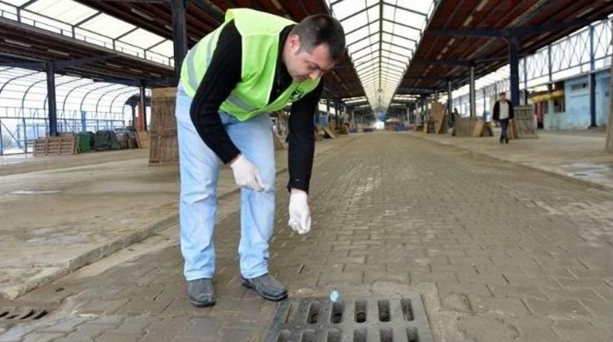 Cuma Pazarında Haşereyle M&uuml;cadele