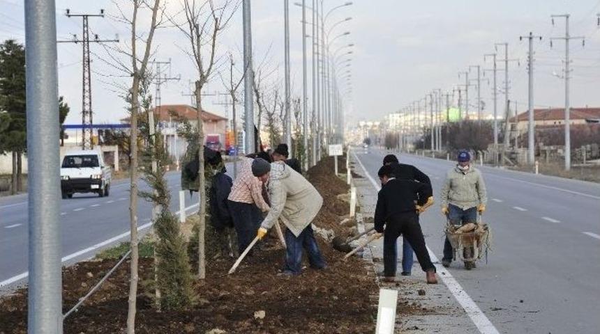 Organize Yolunda Yeşillendirme &Ccedil;alışmaları