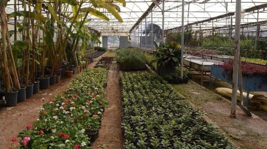 B&uuml;y&uuml;kşehir Belediyesi 133 Bin Fidan Dikti