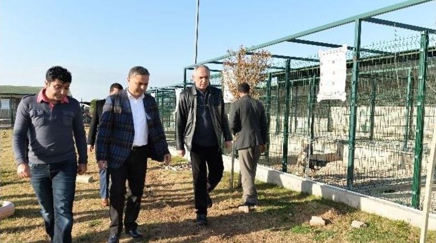 Muratpaşa Belediyesi Tesisleri Verimli Hale Getiriliyor