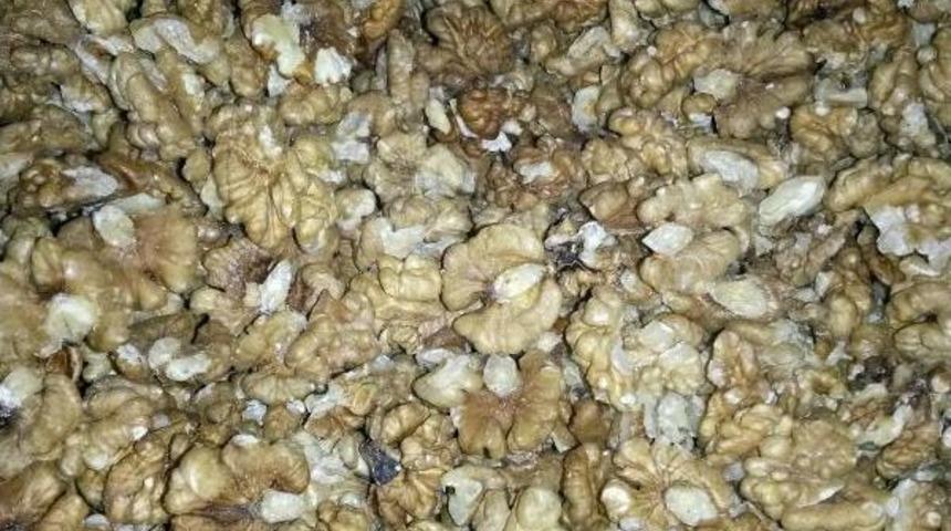 Prof. Dr. Karadeniz: Şiddet Ve Strese Karşı Ceviz T&uuml;ketin