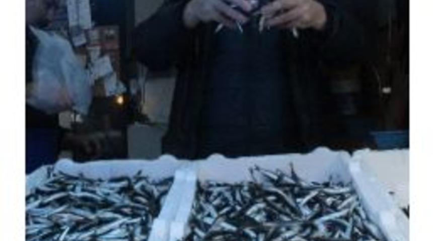 Hamsi’nin Ateşi Tezgahta Düşmüyor