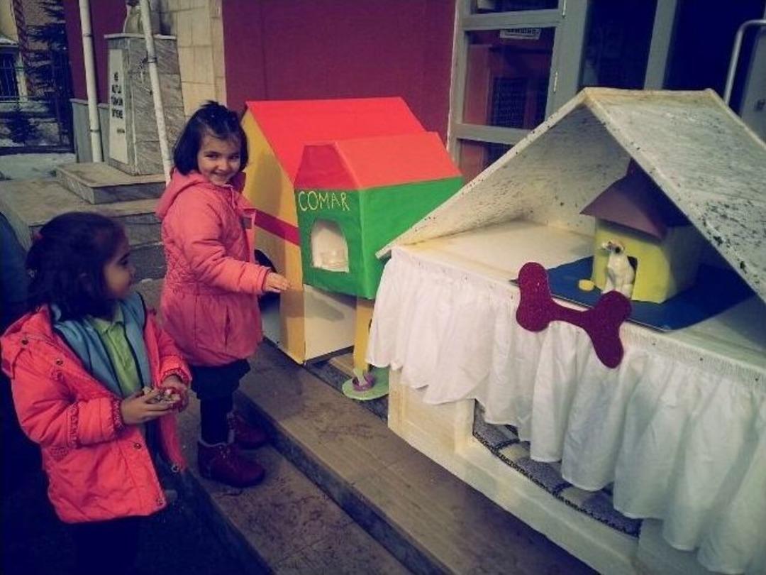 &Ouml;ğrenciler Hayvan Dostlarını Unutmadı