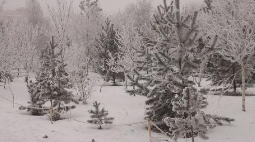 Doğu'da Karakış Etkili Oluyor; Kars Ve Ardahan Eksi 17