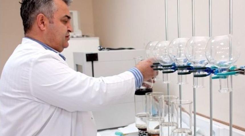 Km&uuml; Karaman&rsquo;da Yetişen Kuru Fasulyelerin &Ouml;zelliklerini Araştırdı