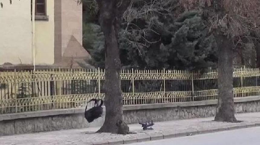 Caddeye Bırakılan Sırt &Ccedil;antası, 'bomba' Paniğine Neden Oldu