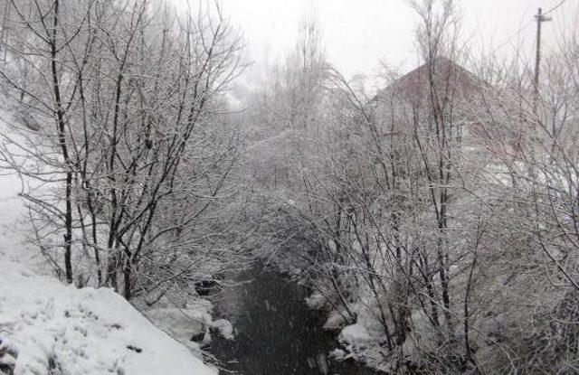 Bitlis'te Kar Yağışı Etkili Oluyor