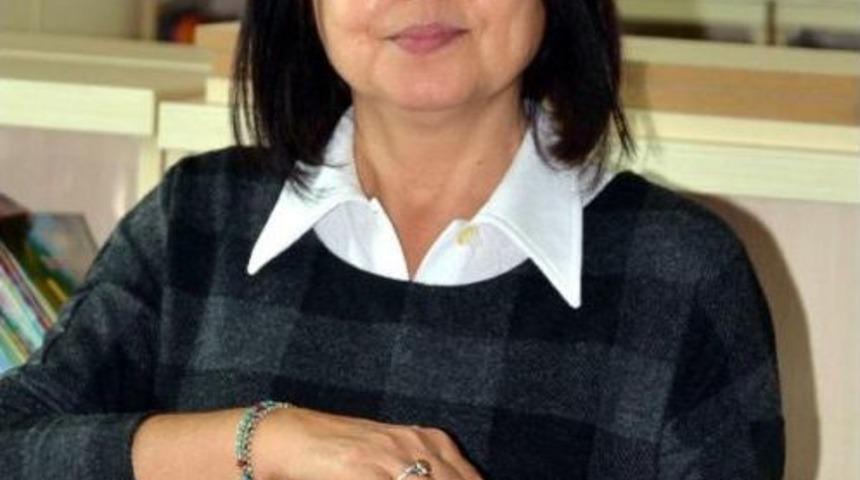 Bodrum'da Zeytinyağı Paneli