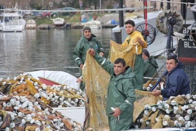 Sinop Limanı’nda “oksail” Avı