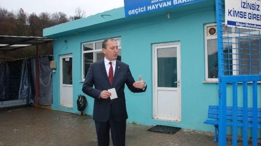 Biga Belediyesi&rsquo;nden Asılsız Hayvan Barınağı Haberlerine Tepki