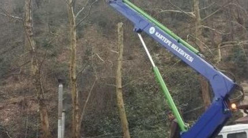 Kartepe Belediyesi&rsquo;den Alabalık Vadisi&rsquo;ne Kış Bakımı