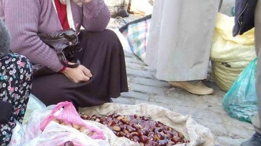 Organik Kestane Zamlandı