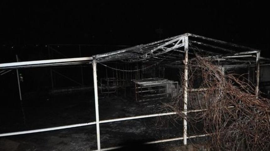 Bodrum&rsquo;da Yangın Resroranı K&uuml;l Etti