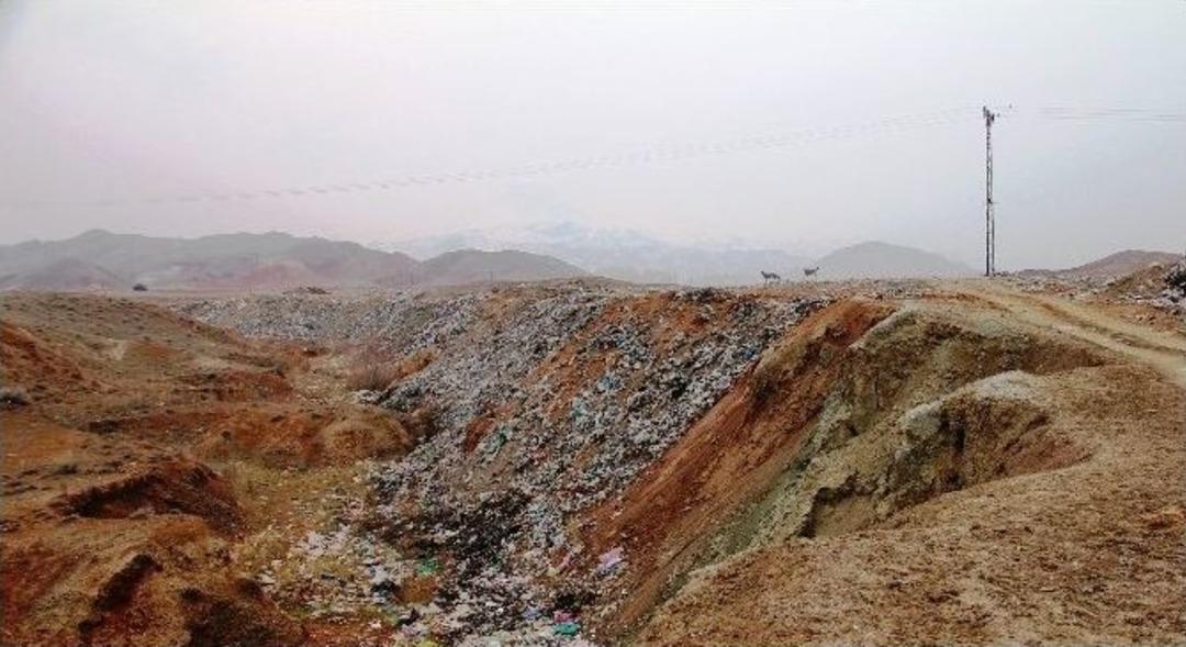 Akbabaların Ermenistan&rsquo;da Zehirlendiği Ş&uuml;phesi